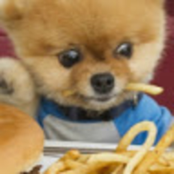 Meet your Posher, Daniel - Picture 1 of 1